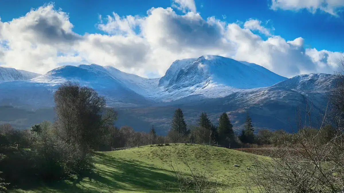 Câinele s-a prăbușit pe Ben Nevis, suspect de intoxicație cu marijuana