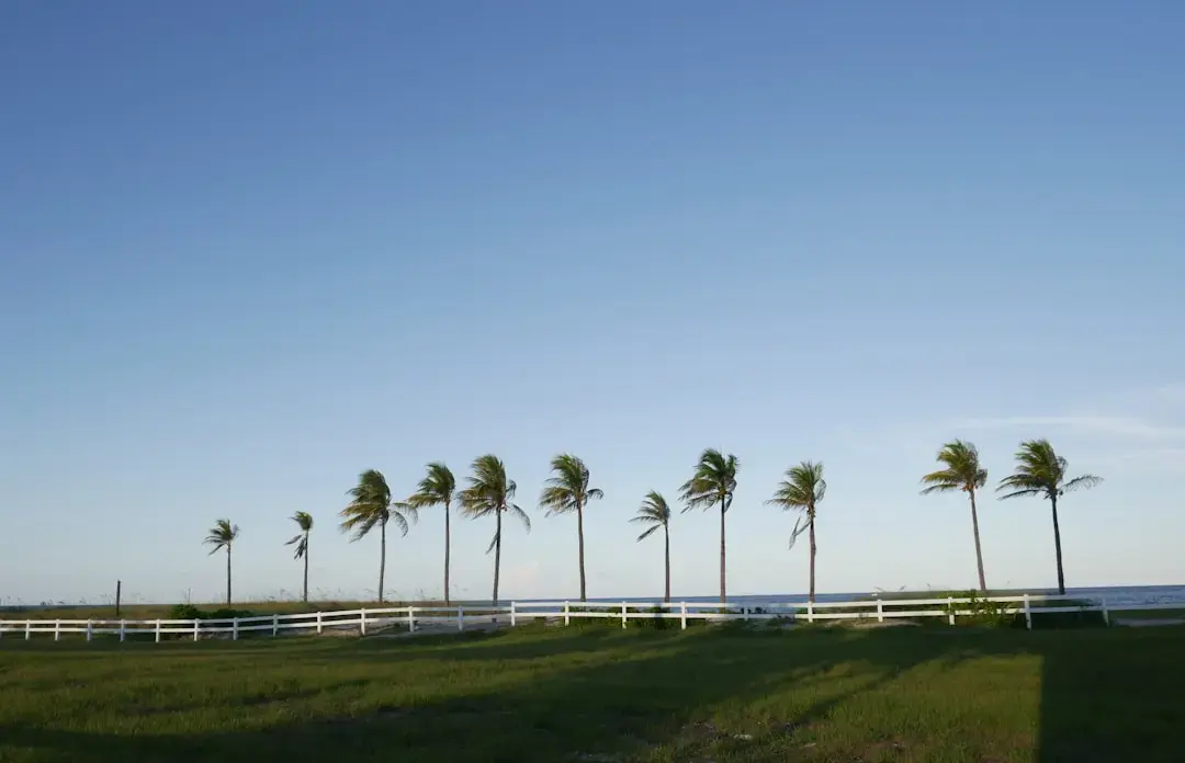 Descoperă Fort Lauderdale: Activități de top pentru turiști