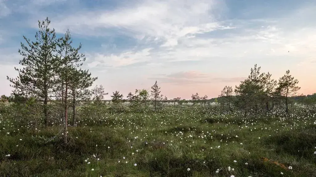 Dincolo de mulțime: o escapadă pe plaja Galveston