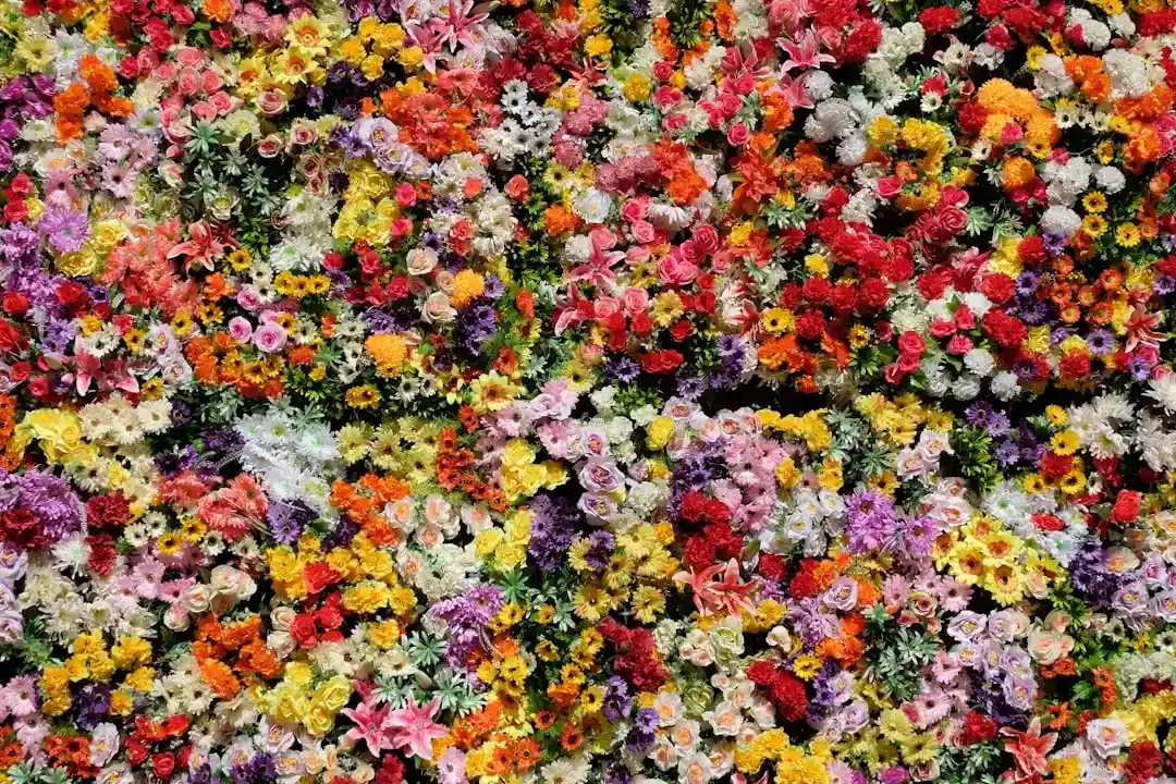 Flores Vibrante: Poarta insula din Guatemala către Tikal