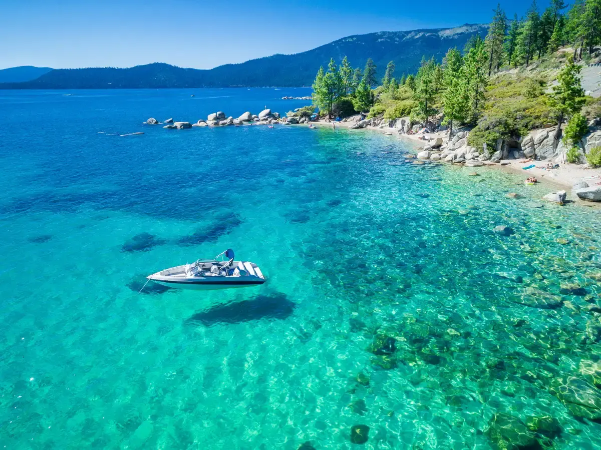 Lacul Tahoe, infestat de şarpe, atrage milioane de oameni