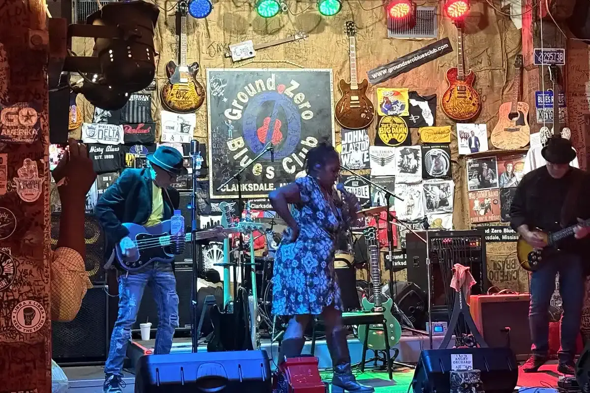 Reluarea blues-ului în delta Mississippi