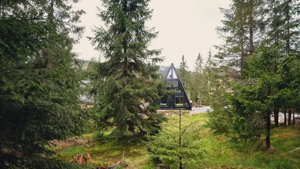 Evadare de lux în Munții Apuseni la Black Chalet Vârtop