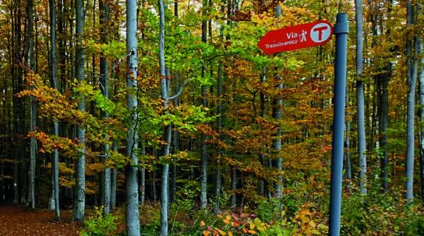 Via Transilvanica: drumul care aduce la lumină memoriea locală