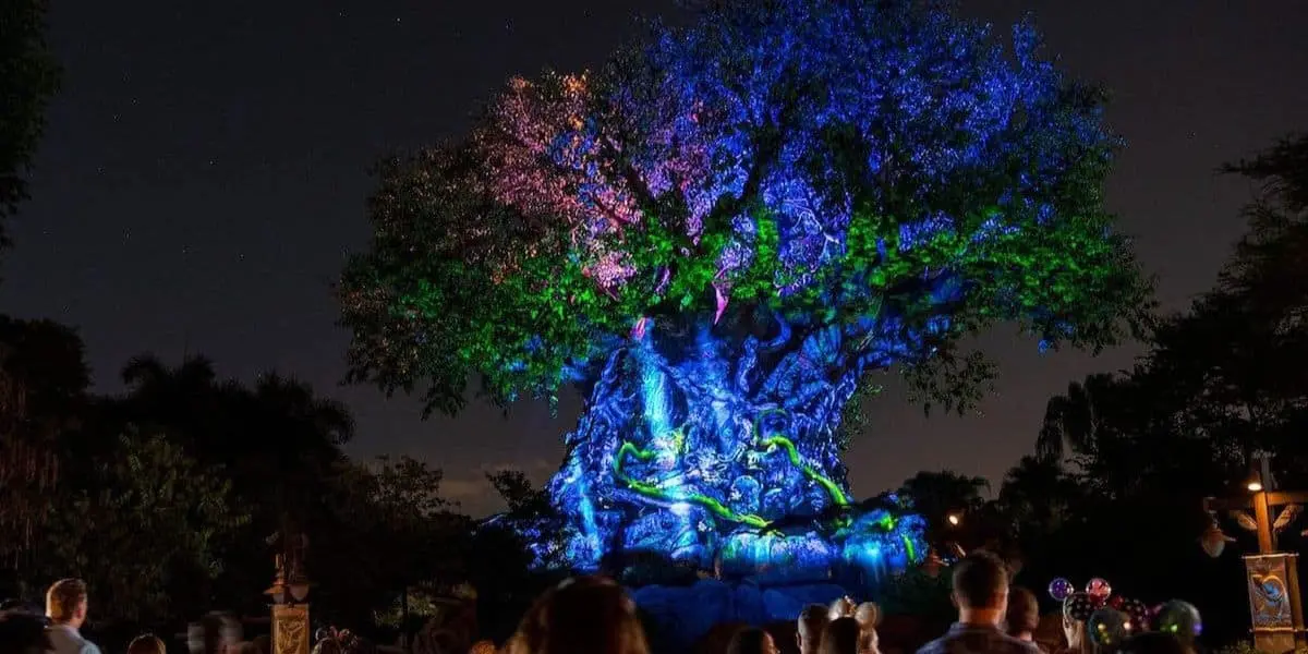 După 28 de ani, Animal Kingdom se transformă: tradiția regatului animalelor dă piept moldovean nouă realitate