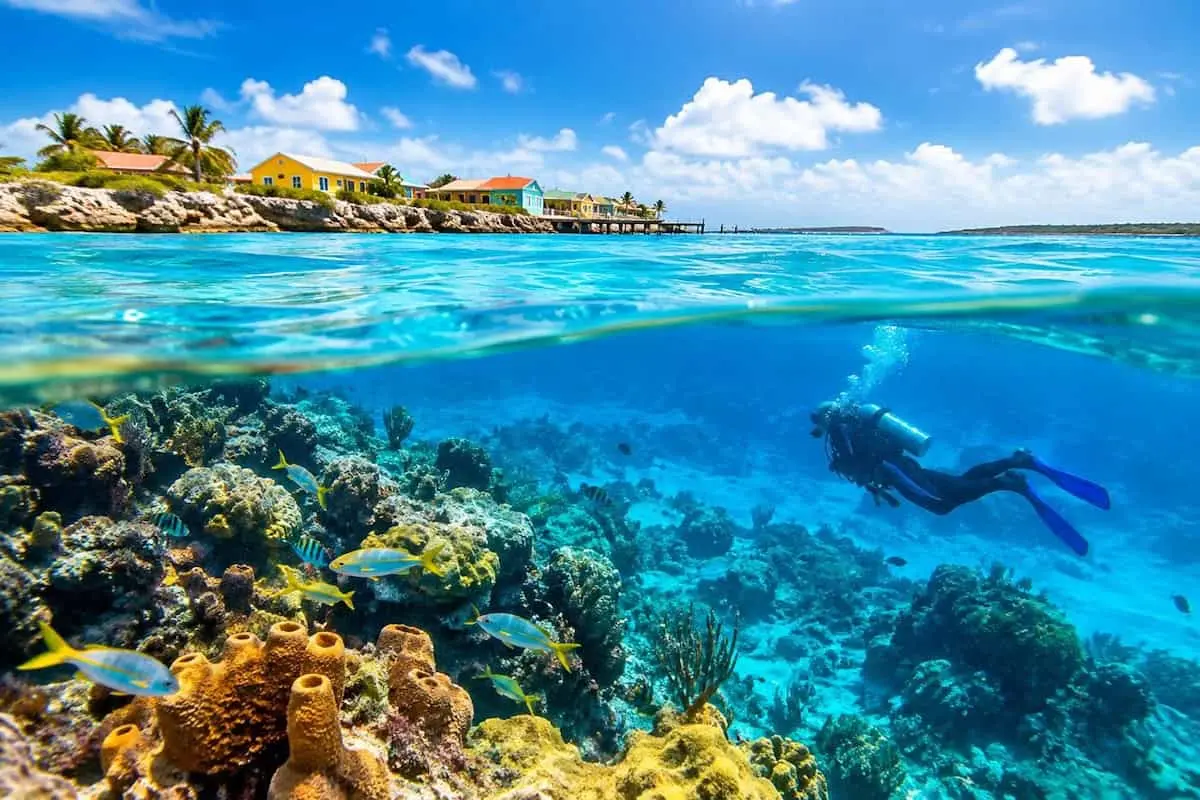 Bonaire și Belize unesc forțele pentru a atrage pasionații de scufundare din lume