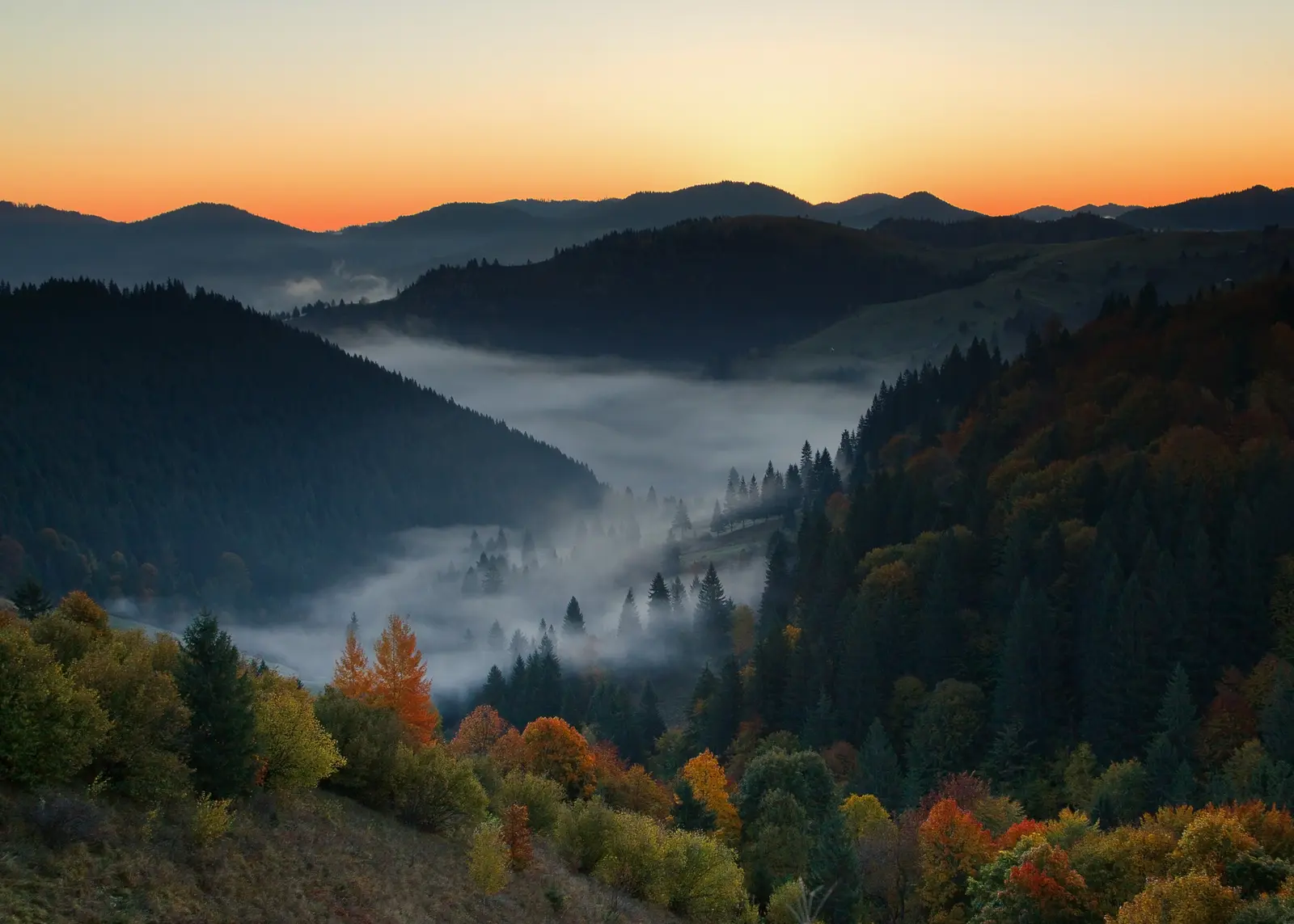 Bucovina a fost numită cea mai subestimată destinație de călătorie din lume pentru 2027 de revista Time Out