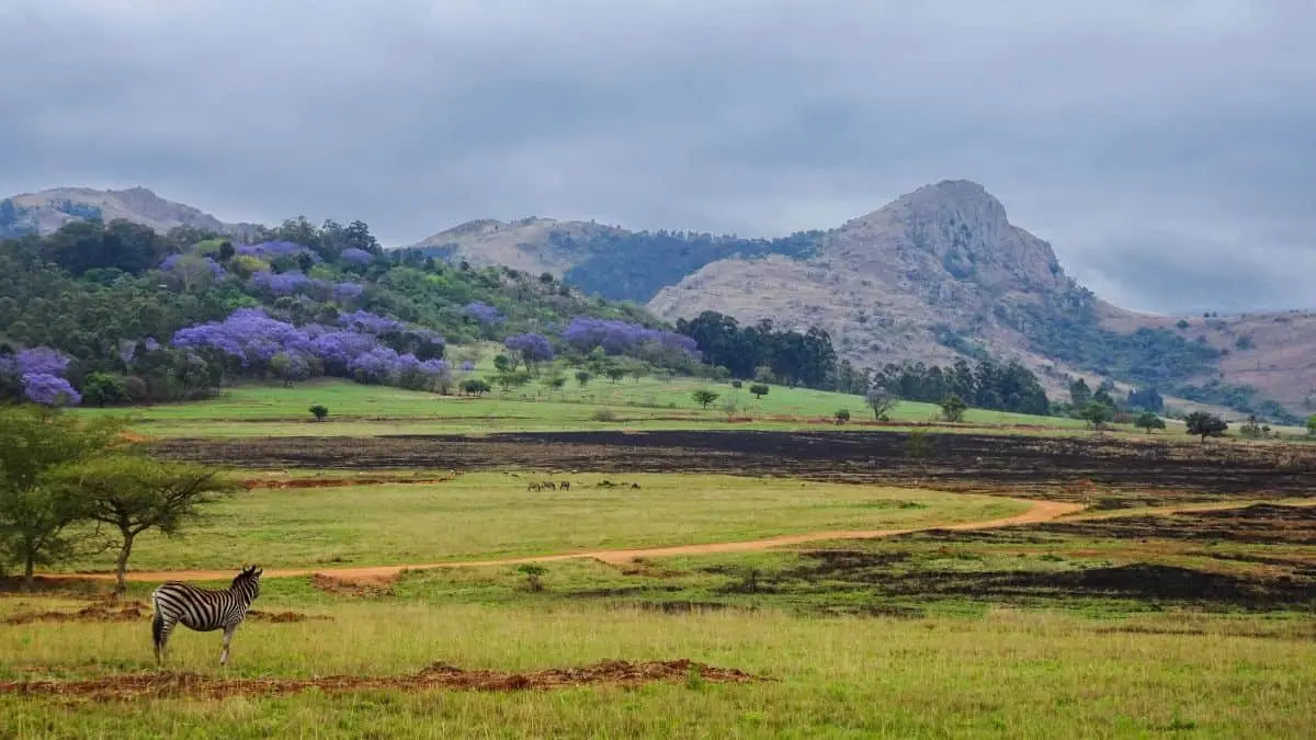 Călătoria în Eswatini: turismul regional înflorește