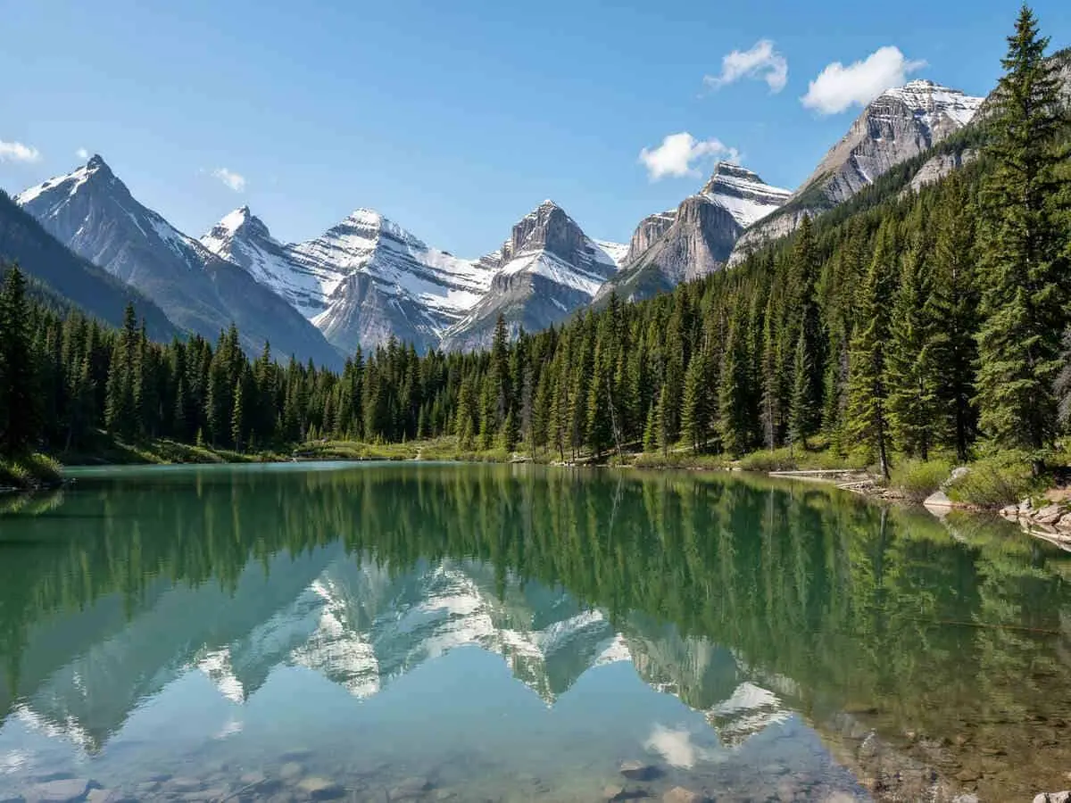 Canada actualizează verificarea vizelor vizitatorilor cu instrumente de screening a riscurilor AI, echilibrarea