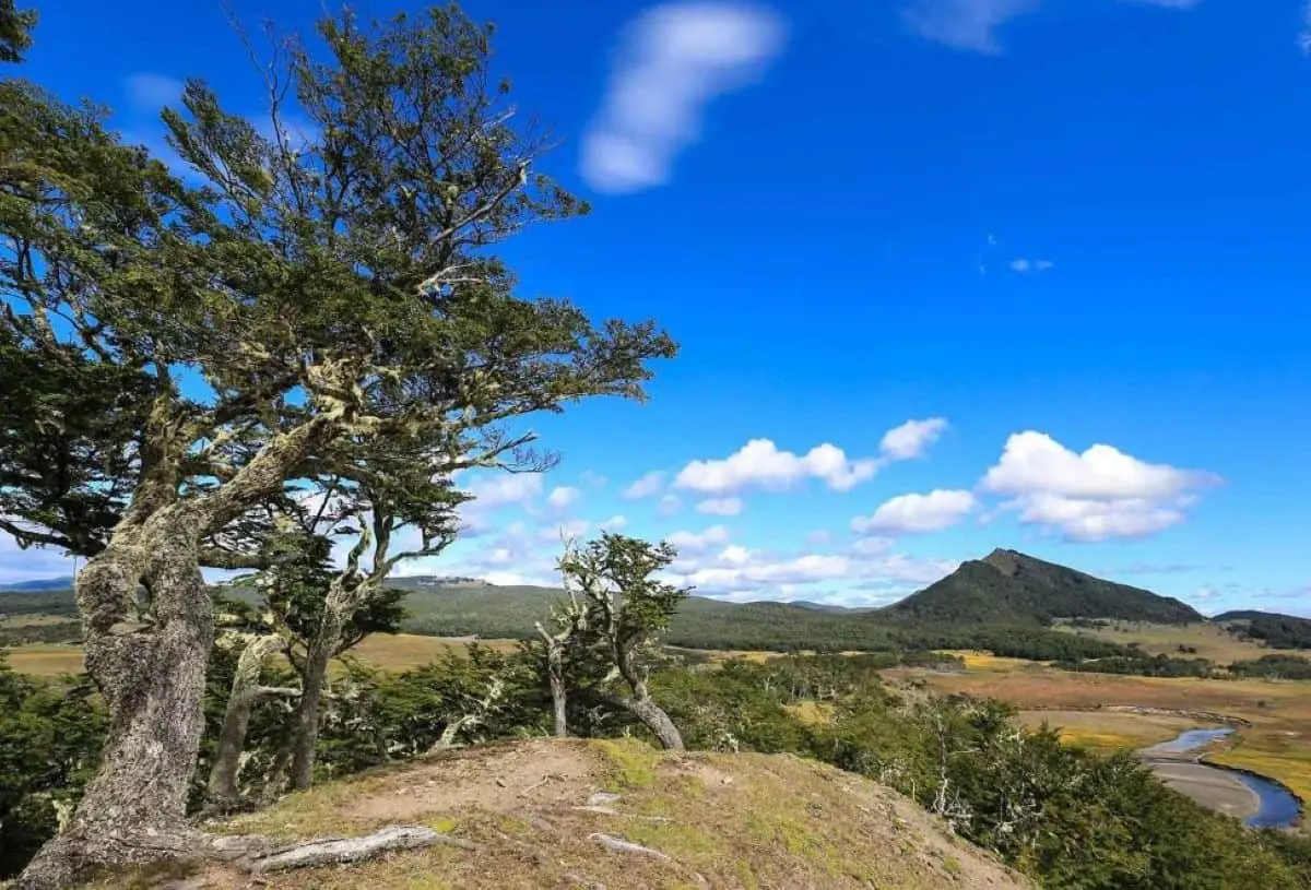 Chile și Columbia: unde natura devină spectacol pentru rețelele sociale