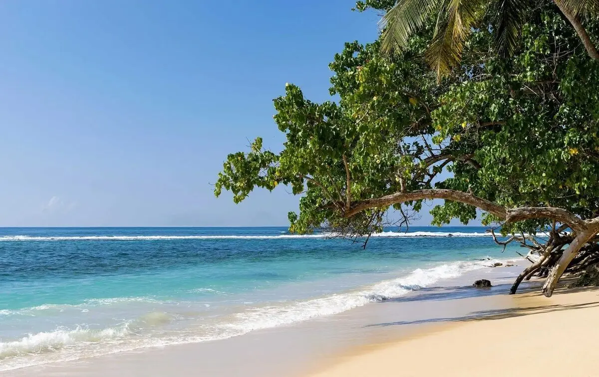 Coasta Caraibelor din Costa Rica: un refugiu de natură pentru cei care caută autenticitate