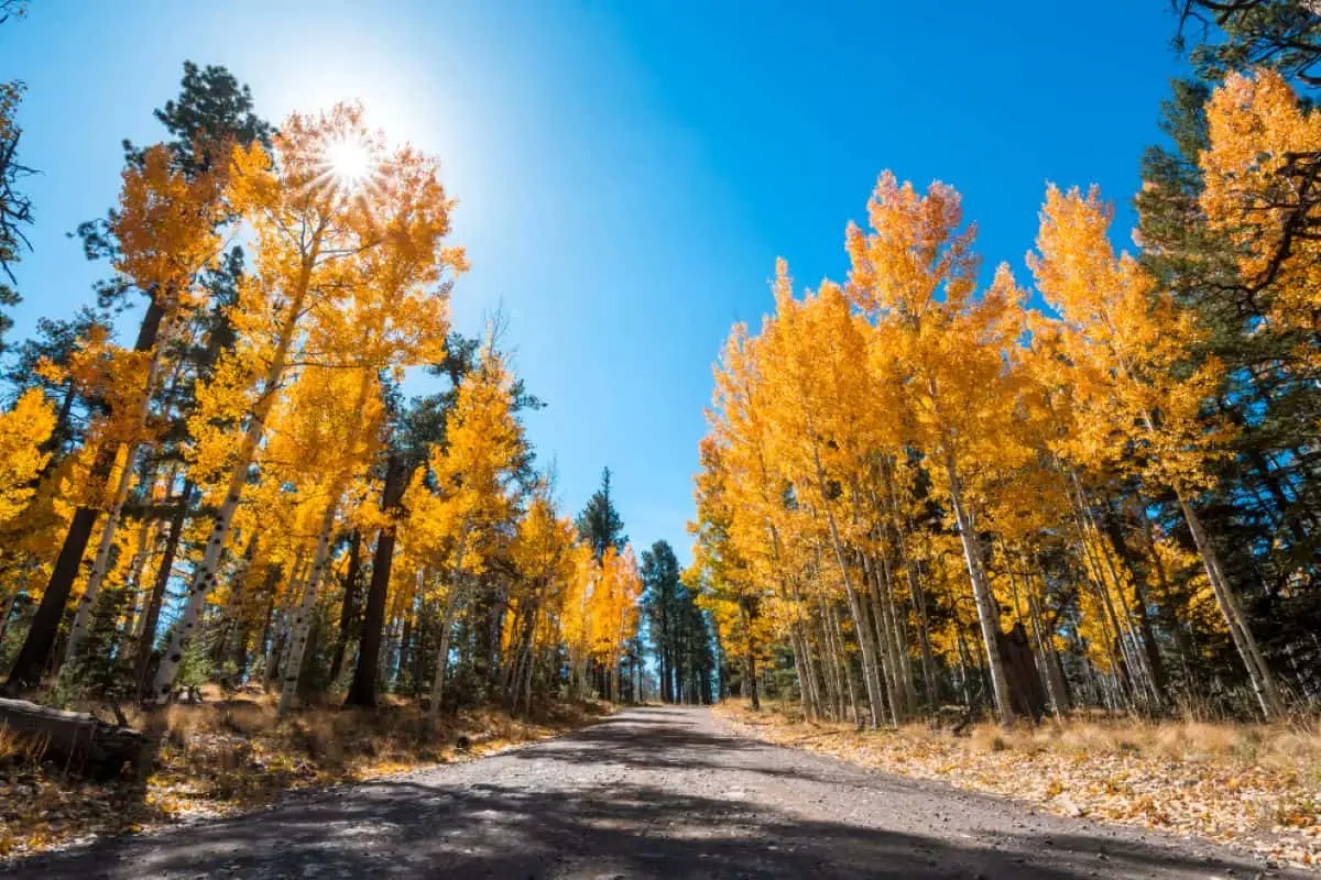 Colorado, pionierul turismului montan în America