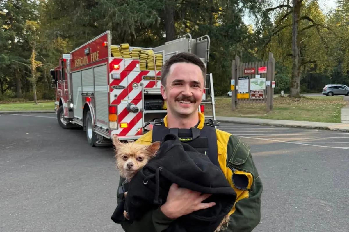 Gizmo a supraviețuit râul Clackamas, dar fără o vestă de salvare, nimeni nu ar fi supraviețuit
