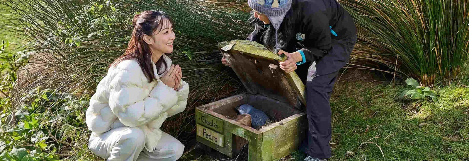 Noua Zeelandă lansează o campanie de turism pentru japonezi, axată sănătate și autenticitate