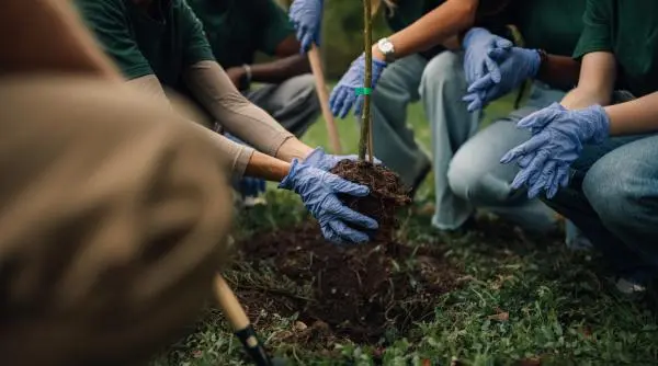 Românii sunt chemați să bată un record mondial la plantat copaci!