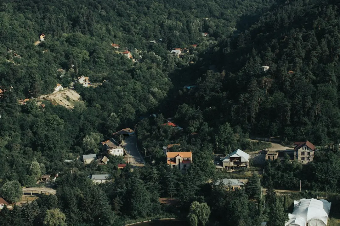 Disney anunță prețurile biletelor pentru parcurile de distracție din 2027