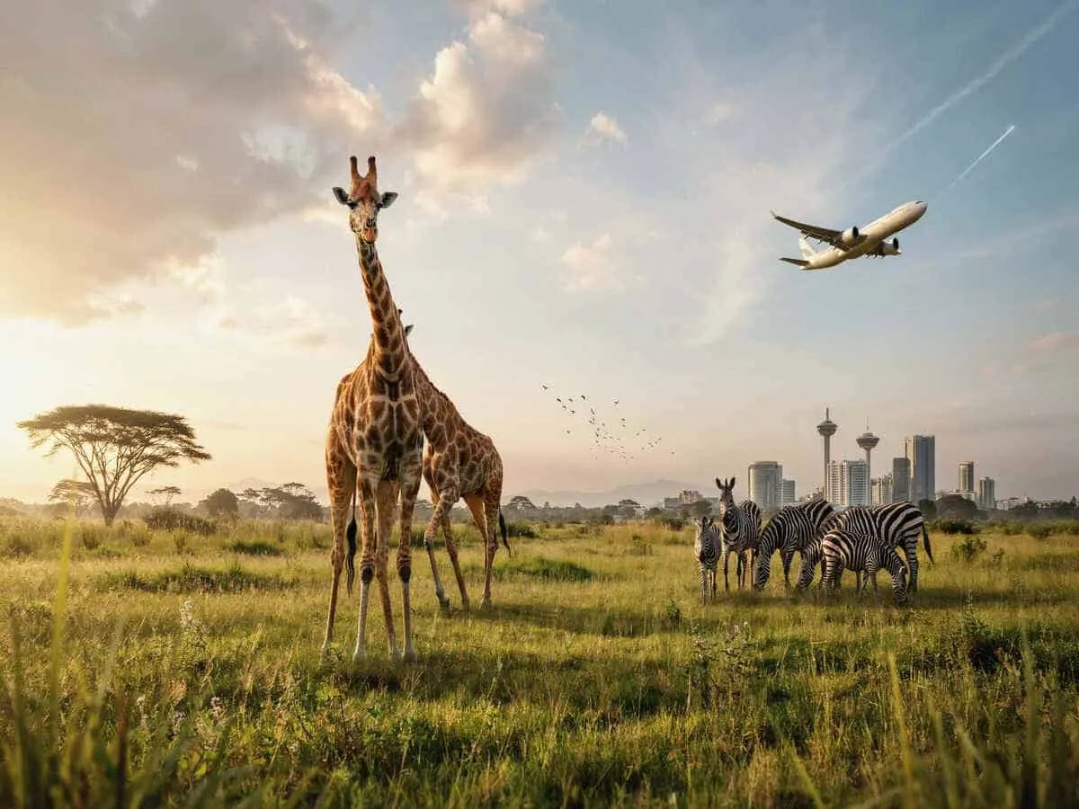 Turismul din Kenya crește în timp ce China, Italia și alții conduc cu 9% creștere a rezervelor de zbor, alimentând