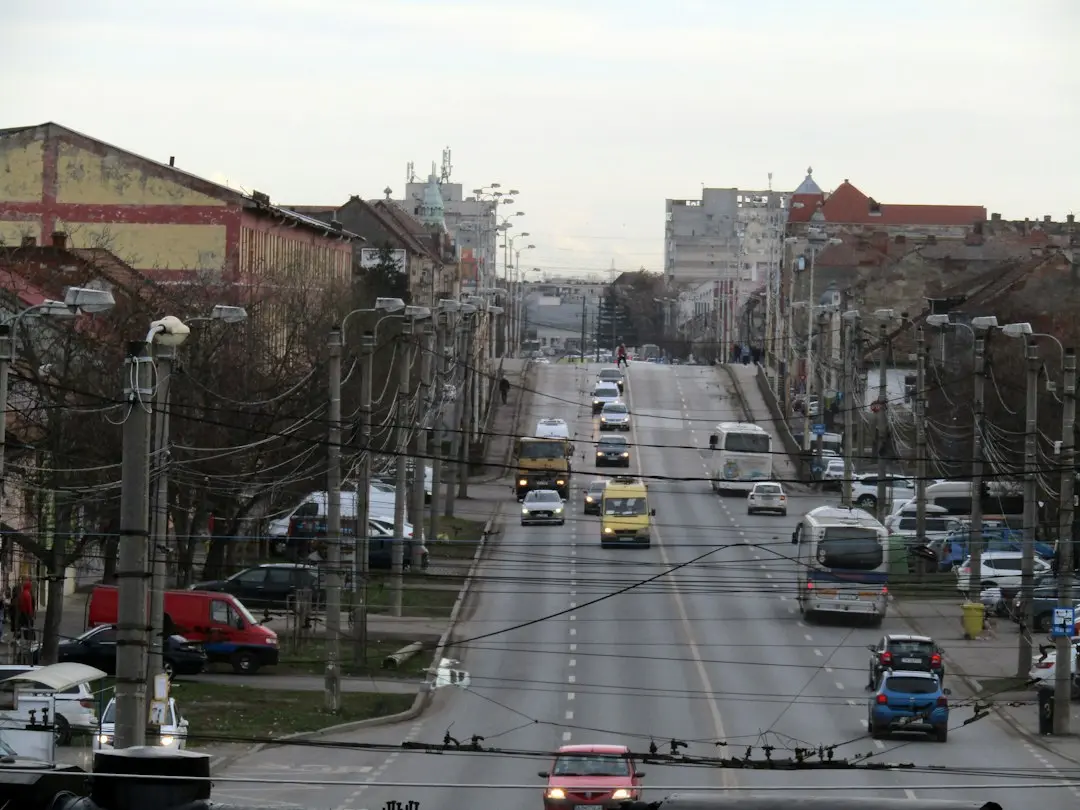 Urșii din România: o amenințare reală pentru oameni