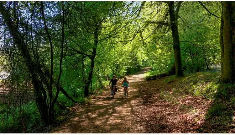 Whitemead Forest Park oferă 15% reducere pentru rezervările anticipate